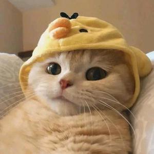涛--