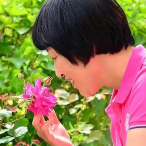 小好奶奶 头像