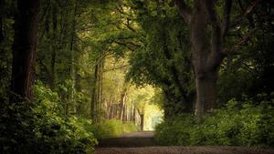 北海道的秋天 头像