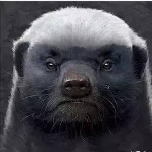 Aka平头情感 头像