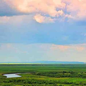 淡泊六千天 头像