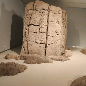 倪师三套学习软件 头像