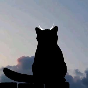 小橙子课堂 头像