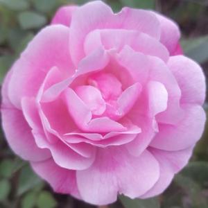 财经科技驿站 头像