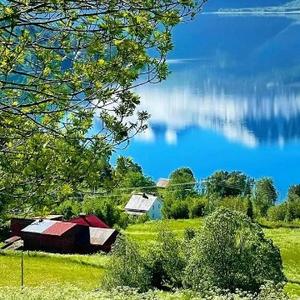 云医聊健康 头像