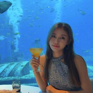 金一南演讲 头像