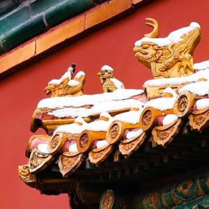 历史故事读来也很有趣 头像