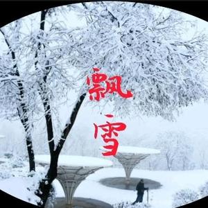 飘雪10i4n头像