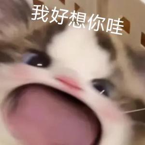 痴人痴梦1132 头像