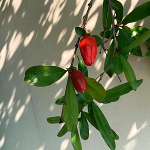 懂聪知 头像