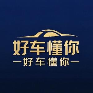 好车懂你 头像