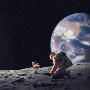 星球上的科学