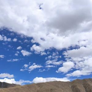 炸酱面我吃定了 头像