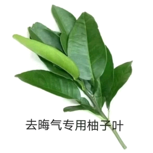 八卦小百科 头像