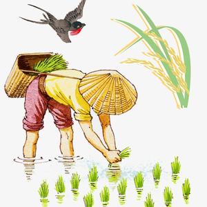 车间合伙人 头像