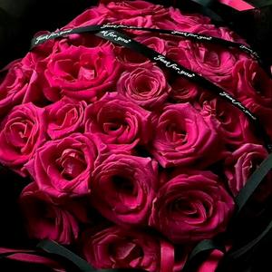 人间富贵花某某某 头像