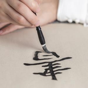 高高说文学 头像