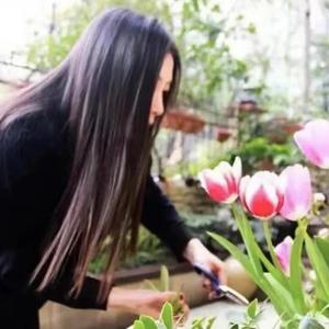奇幻星球Liie 头像