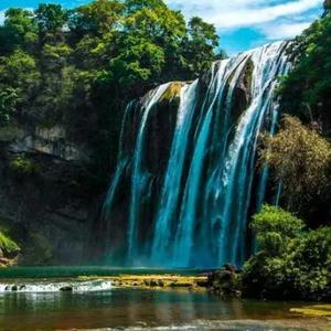 庭院暗雨乍歇 头像