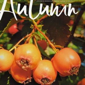 大风车8688 头像