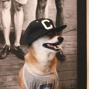 炸飞西红柿 头像