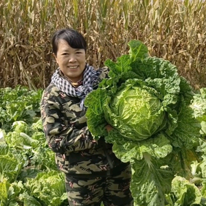 农村吴姐日常生活头像