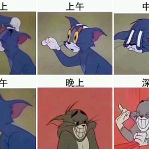 打鼓的小辛 头像