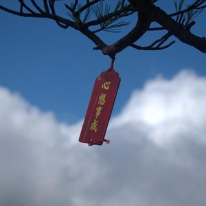 青山 头像