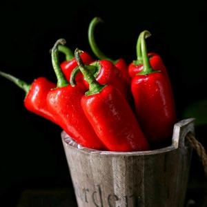 珊-鎏汐888 头像