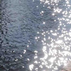 孤独艺术家小李 头像