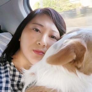 红姐在意大利 头像