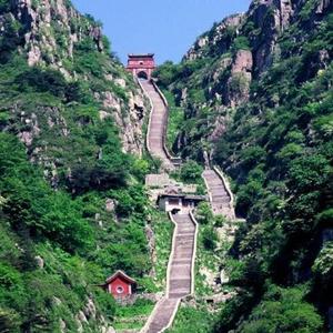 天行健之心灵奇旅 头像