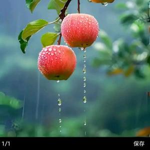 左右人生V 头像