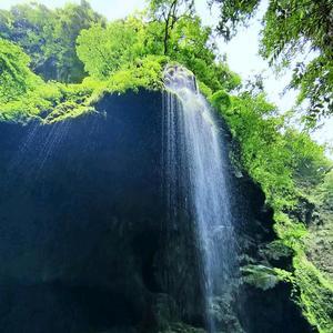 野鸭滩的老水碾 头像