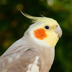 西乡塘十三少 头像