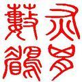 灰胸薮鹛