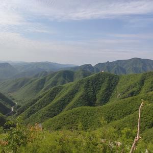 淡泊的船帆 头像