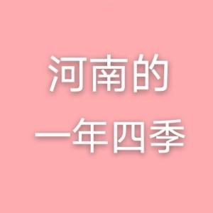 河南的一年四季 头像