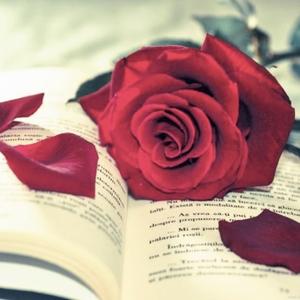 小燕子知识分享 头像