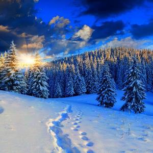 汽车激光机 头像