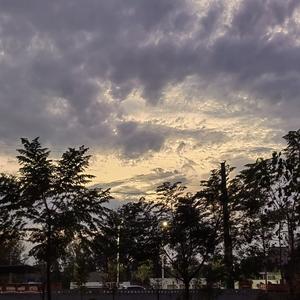 随性自由的风声 头像