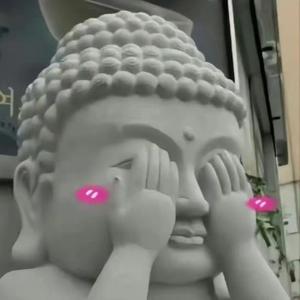 炫彩大蟑螂 头像