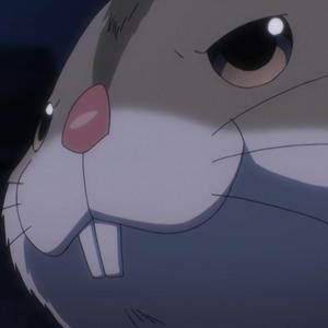 新手村养牛 头像