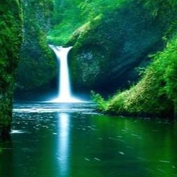 自然音乐师 头像