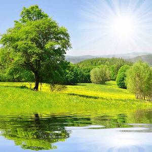 自然科学之威洛格 头像