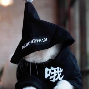 杨大白啊啊 头像