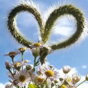 与君聊科技 头像