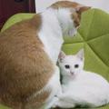 摇钱坝小颖 头像