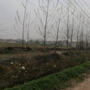 川城居家Home维修 头像