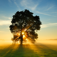 夜未央151845829头像